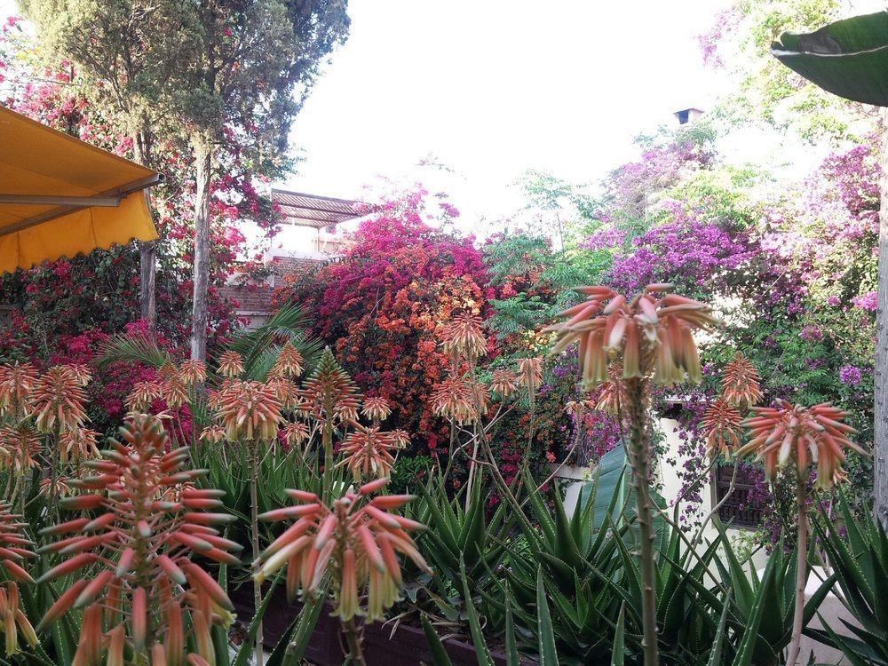 Riad Malika Marraquexe Exterior foto