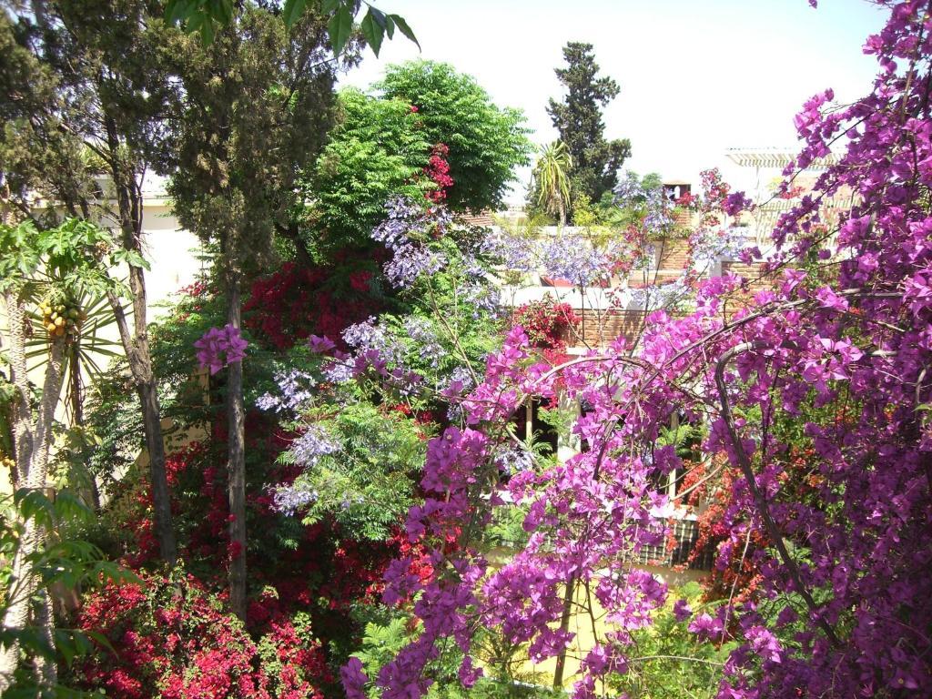 Riad Malika Marraquexe Exterior foto