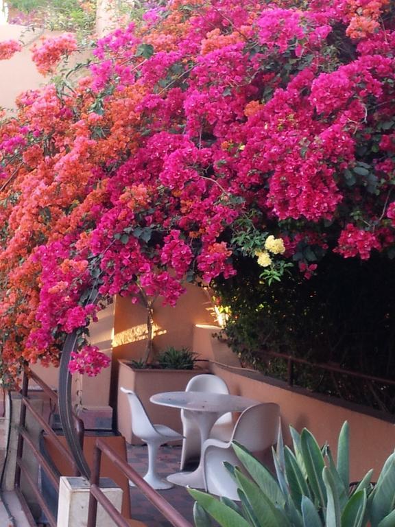 Riad Malika Marraquexe Exterior foto